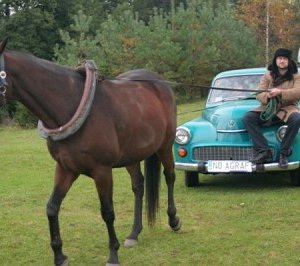 Sesja – Janowo 2006