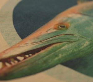 Koszulka na wyprawę Gwinea Bissau