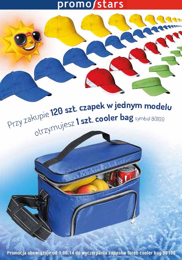 cooler bag-1