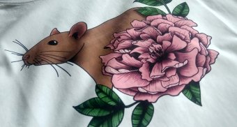Koszulki Hemma